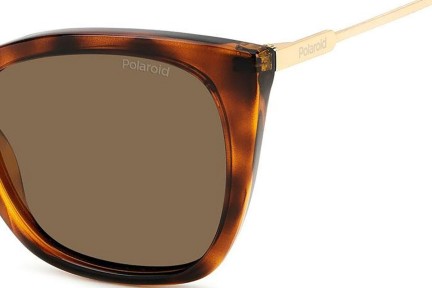 Sonnenbrille Polaroid PLD4144/S/X 086/SP Polarized Cat Eye Havanna