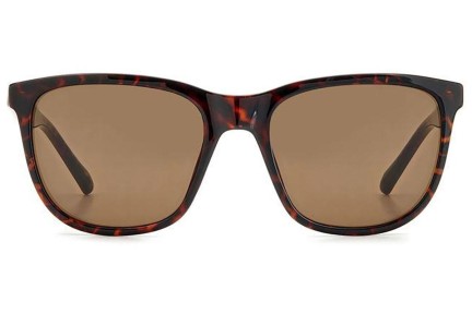 Sunglasses Fossil FOS3145/S 086/70 Quadratisch Havanna