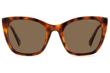 Sonnenbrille Polaroid PLD4144/S/X 086/SP Polarized Cat Eye Havanna