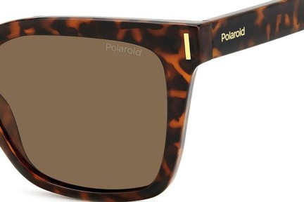 Sonnenbrille Polaroid PLD6192/S 086/SP Polarized Cat Eye Havanna