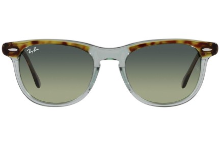 Sunglasses Ray-Ban Eagleeye RB2398 1376BH Rund Grün