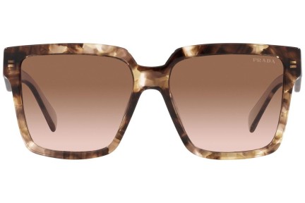 Sunglasses Prada PR24ZS 07R0A6 Quadratisch Havanna