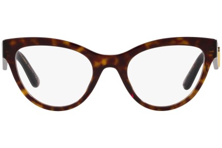 Glasses Dolce & Gabbana DG3372 502 Cat Eye Havanna