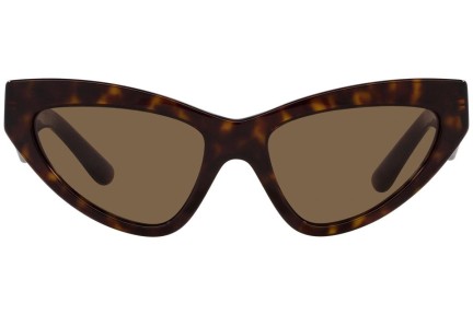 Sonnenbrille Dolce & Gabbana DG4439 502/73 Cat Eye Havanna