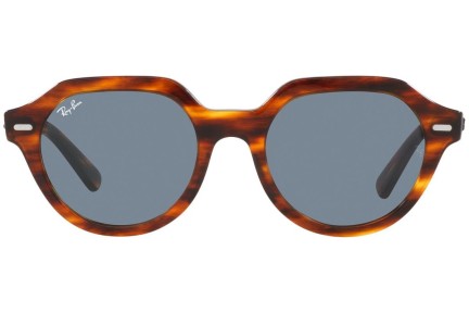 Sunglasses Ray-Ban Gina RB4399 954/62 Quadratisch Havanna