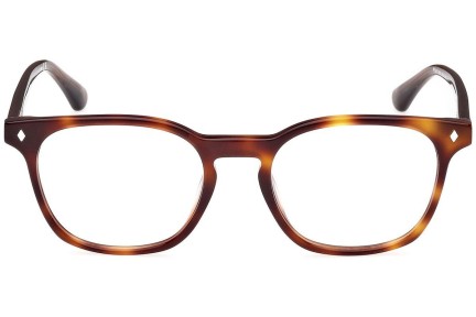 Glasses Web WE5410 052 Rund Havanna