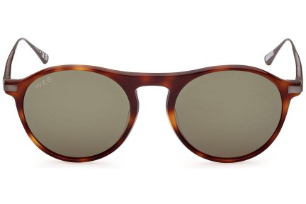 Sunglasses Web WE0346 52N Rund Havanna