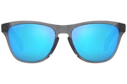 Sonnenbrille Oakley Frogskins XXS OJ9009-02 Quadratisch Grau