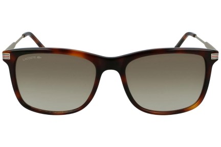 Sunglasses Lacoste L960S 230 Quadratisch Havanna