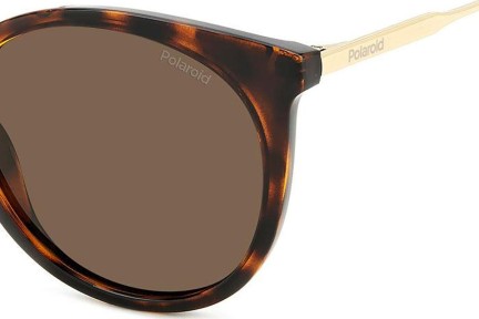 Sonnenbrille Polaroid PLD4146/S/X 086/SP Polarized Cat Eye Havanna