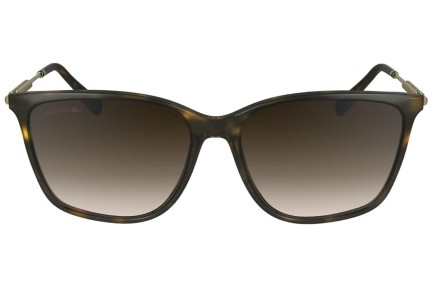 Sunglasses Lacoste L6016S 230 Quadratisch Havanna