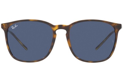 Sunglasses Ray-Ban RB4387 710/80 Quadratisch Havanna