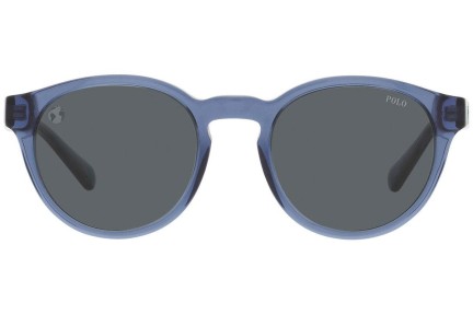 Sonnenbrille Polo Ralph Lauren PH4192 609287 Rund Blau