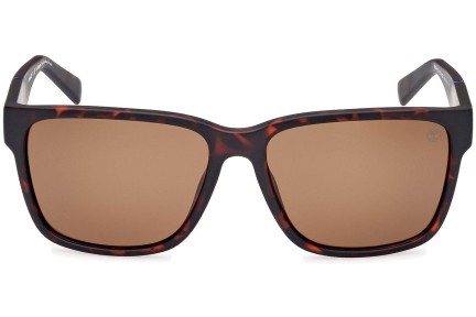 Sunglasses Timberland TB9335-H 52H Polarized Quadratisch Havanna