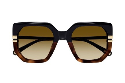 Sunglasses Chloe CH0240S 003 Quadratisch Schwarz