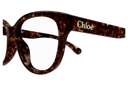 Brillen Chloe CH0243O 006 Rechteck Havanna