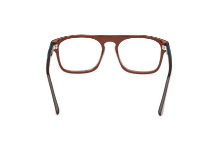 Glasses Web WE5434 052 Quadratisch Havanna