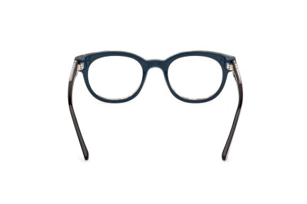 Glasses Web WE5431 055 Rund Havanna