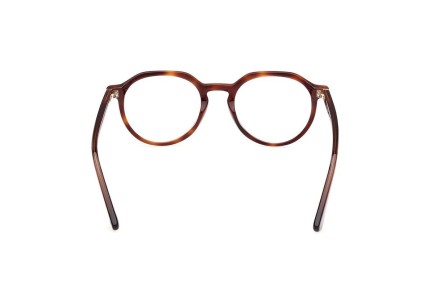 Glasses Web WE5427 056 Rund Havanna