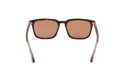 Sunglasses Web WE0369 56E Quadratisch Havanna