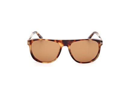 Sunglasses Tom Ford FT1105 55E Quadratisch Havanna