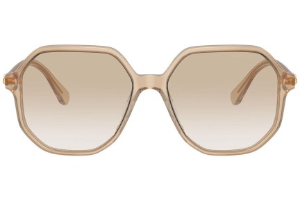 Sonnenbrille Swarovski SK6003 103411 Besondere Beige