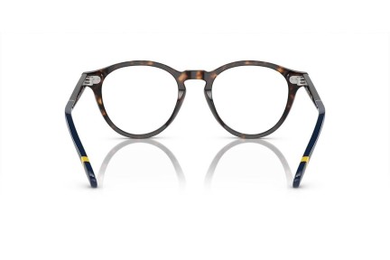 Glasses Polo Ralph Lauren PH2268 5003 Rund Havanna