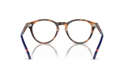 Glasses Polo Ralph Lauren PH2268 6089 Rund Havanna