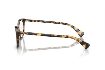 Glasses Ralph by Ralph Lauren RA7146 6148 Cat Eye Havanna