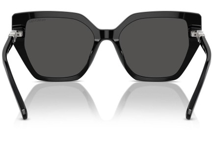 Sunglasses Swarovski SK6016 100187 Besondere Schwarz