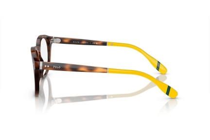 Glasses Polo Ralph Lauren PH2267 6089 Quadratisch Havanna