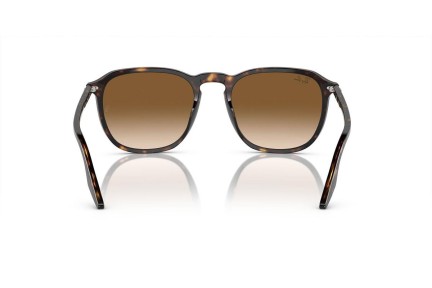 Sunglasses Ray-Ban RB2203 902/51 Quadratisch Havanna