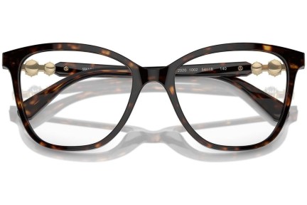 Glasses Swarovski SK2020 1002 Quadratisch Havanna