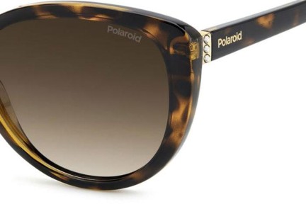 Sonnenbrille Polaroid PLD4176/S/X 086/LA Polarized Cat Eye Havanna