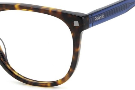 Glasses Polaroid PLDD541 086 Rechteck Havanna