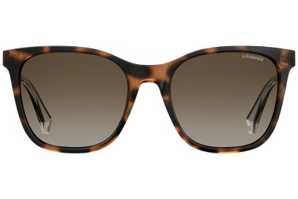 Sunglasses Polaroid PLD4059/S 086/LA Polarized Quadratisch Havanna