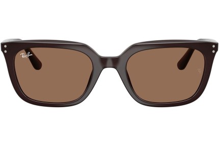 Sonnenbrille Ray-Ban RB4439D 623173 Quadratisch Braun