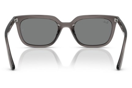 Sunglasses Ray-Ban RB4439D 667587 Quadratisch Grau