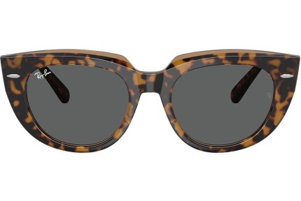 Sunglasses Ray-Ban RB2286 1292B1 Quadratisch Havanna