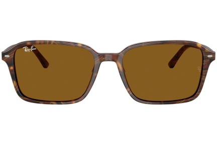 Sunglasses Ray-Ban RB2231 141833 Quadratisch Braun