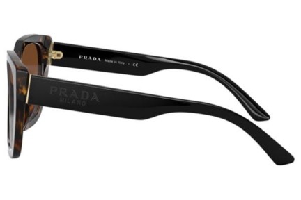 Sunglasses Prada PR24XS 2AU6S1 Cat Eye Havanna