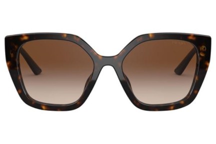 Sunglasses Prada PR24XS 2AU6S1 Cat Eye Havanna