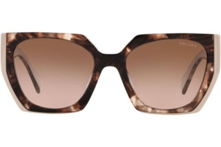 Sonnenbrille Prada PR15WS 01R0A6 Quadratisch Havanna