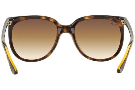 Sunglasses Ray-Ban Cats 1000 RB4126 710/51 Groß Havanna