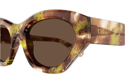 Sonnenbrille Chloe CH0220S 010 Cat Eye Havanna