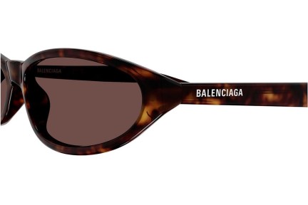 Sonnenbrille Balenciaga BB0007S 013 Oval Havanna