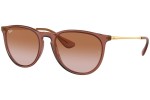 Ray-Ban Erika RB4171 659013