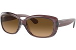 Ray-Ban Jackie Ohh RB4101 6593M2 Polarized