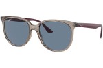 Sonnenbrille Ray-Ban RB4378 65722V Polarized Quadratisch Grau