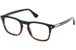 Glasses Web WE5386 056 Quadratisch Havanna